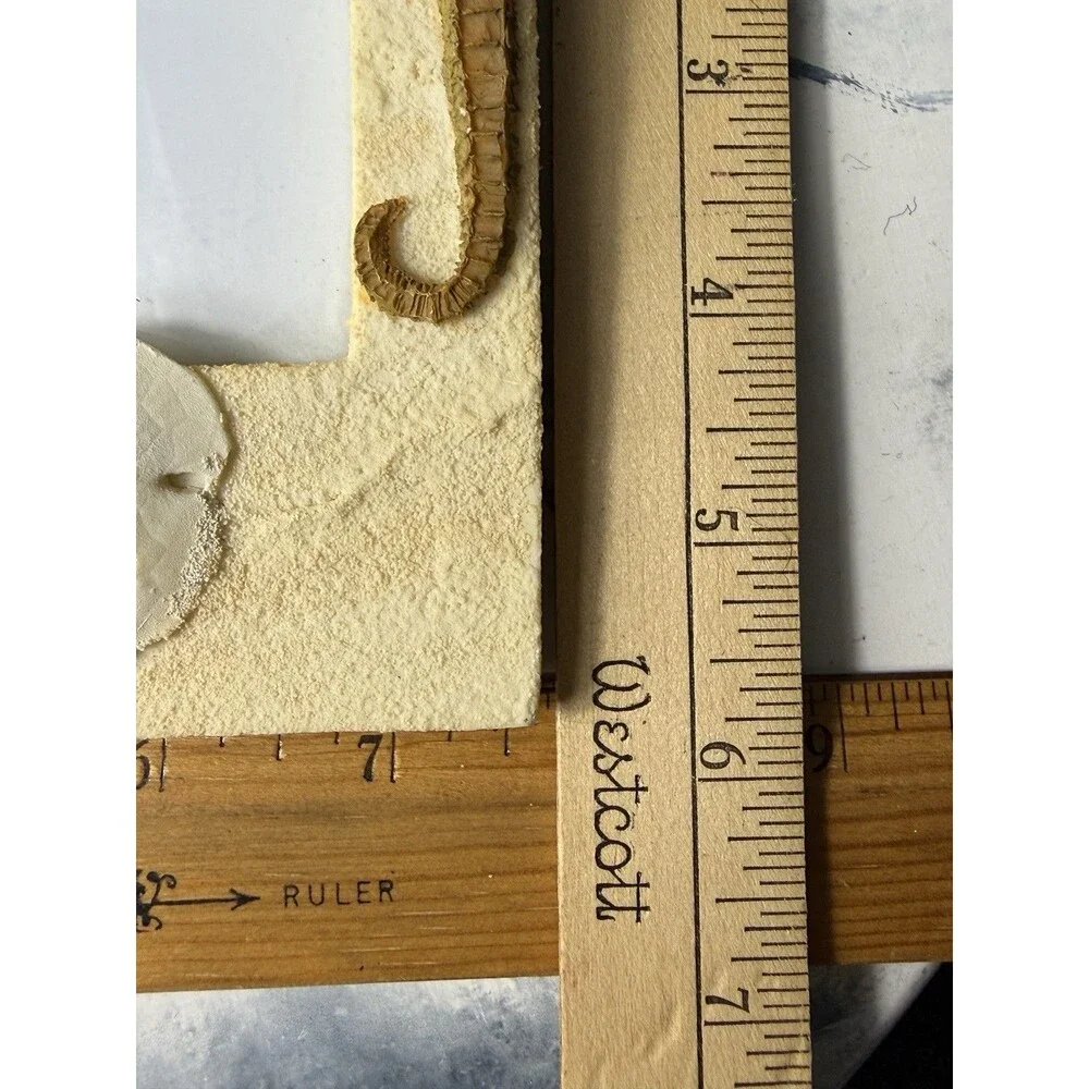Vintage Life Echoes Sea 4 X 6 Picture Frame Sea Horse Sand Starfish